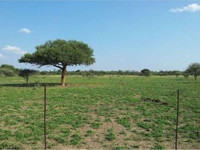 1063 Ha Cattle farm for sale in Vivo - Photo 10