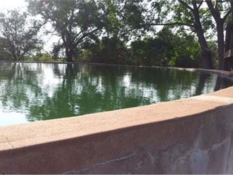 1063 Ha Cattle farm for sale in Vivo - Photo 4