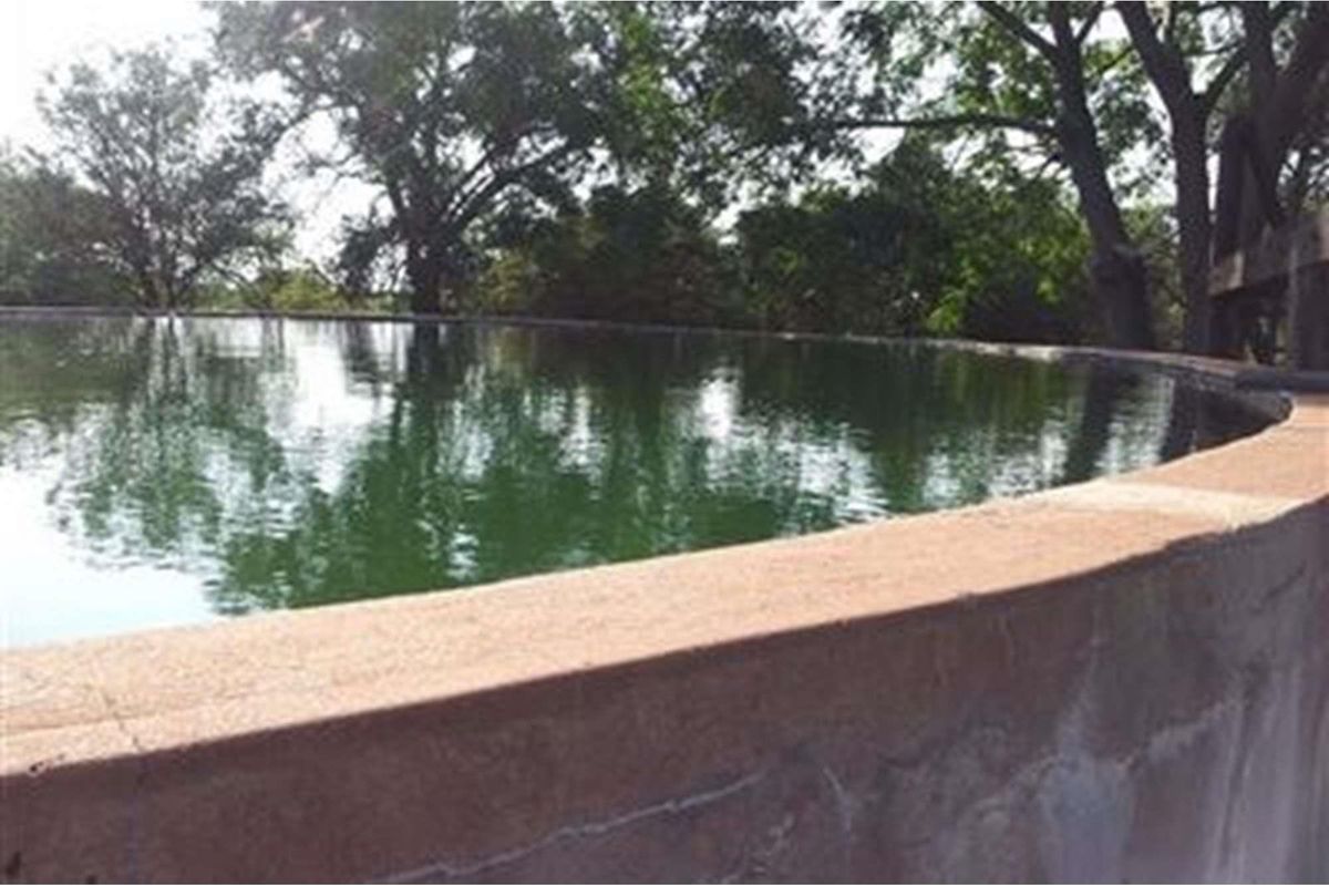 1063 Ha Cattle farm for sale in Vivo - Photo 4