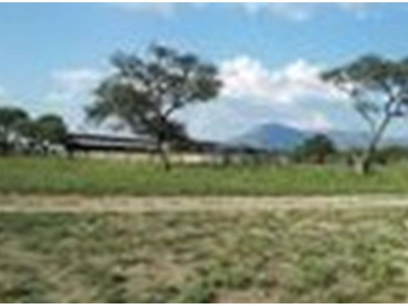 1063 Ha Cattle farm for sale in Vivo - Photo 5