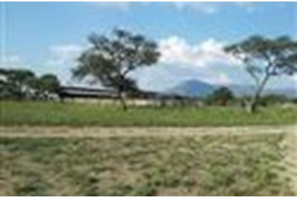 1063 Ha Cattle farm for sale in Vivo - Photo 5