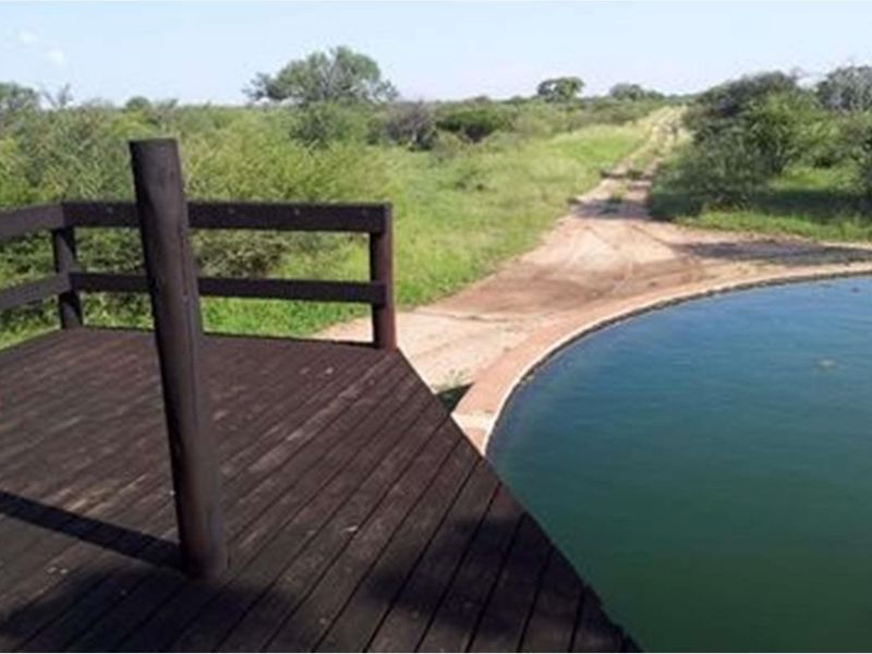 1063 Ha Cattle farm for sale in Vivo - Photo 3