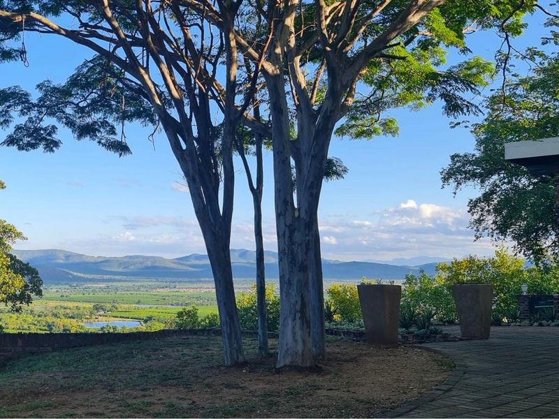 21ha Investment Farm with Fully Operational Furniture Factory - Photo 2