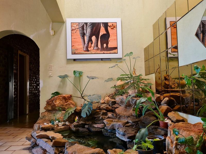 21ha Investment Farm with Fully Operational Furniture Factory - Photo 5