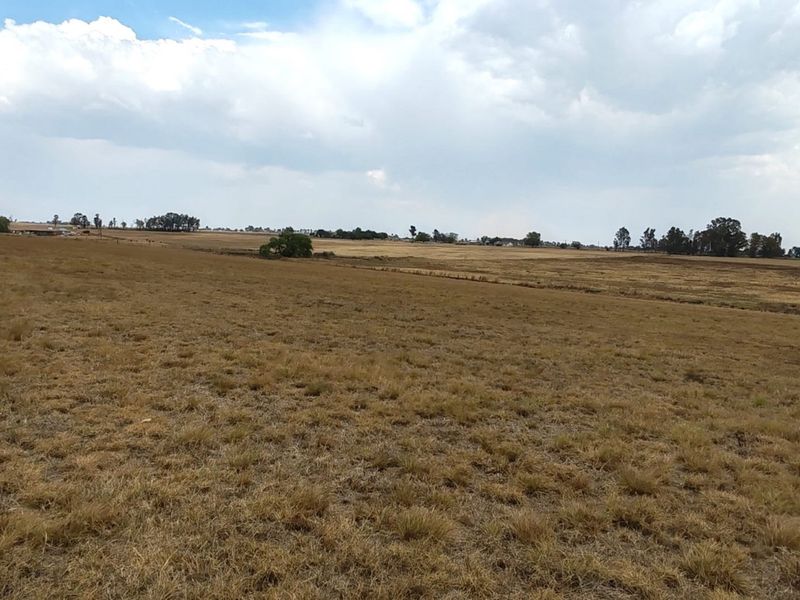 MEYERTON * RIETFONTEIN * 21.9099HA * R2 350 000.00 - Photo 10