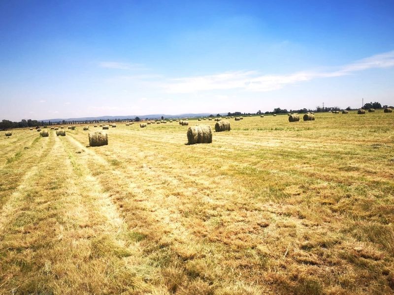 MEYERTON * RIETFONTEIN * 21.9099HA * R2 350 000.00 - Photo 4