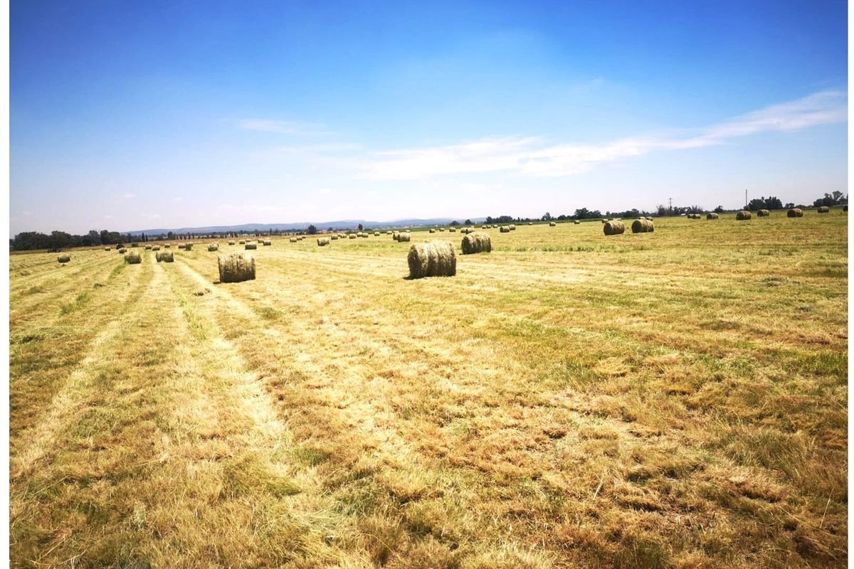 MEYERTON * RIETFONTEIN * 21.9099HA * R2 350 000.00 - Photo 4