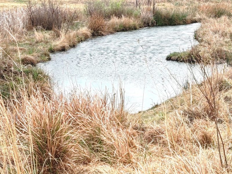 MEYERTON * RIETFONTEIN * 21.9099HA * R2 350 000.00 - Photo 2