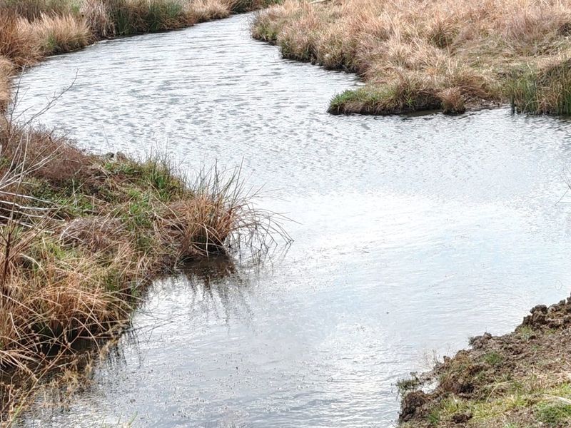 MEYERTON * RIETFONTEIN * 21.9099HA * R2 350 000.00 - Photo 3