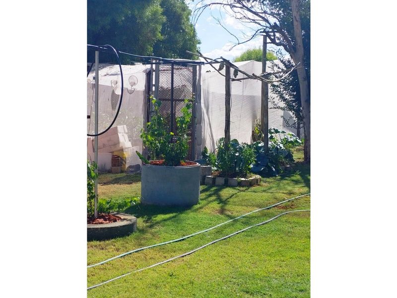 51ha Farm for Sale Just Outside Kimberley - Photo 10