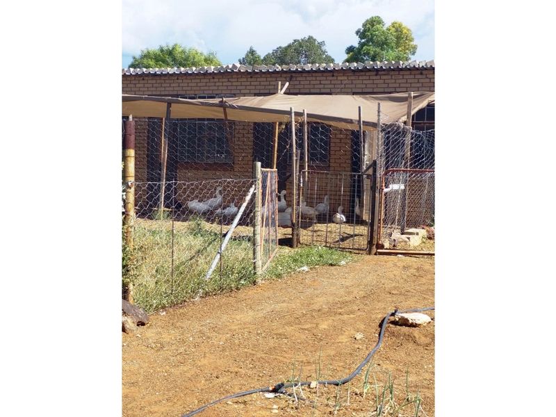 51ha Farm for Sale Just Outside Kimberley - Photo 8