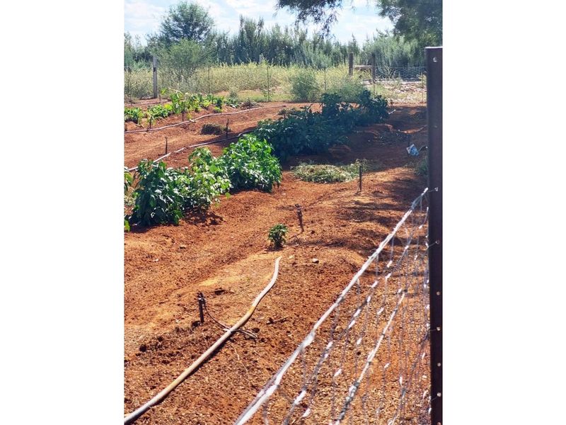 51ha Farm for Sale Just Outside Kimberley - Photo 7