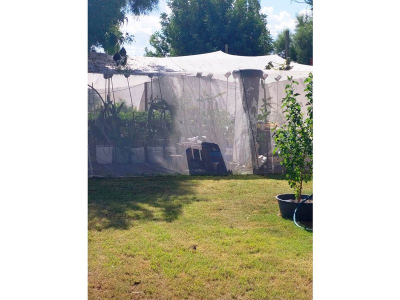 51ha Farm for Sale Just Outside Kimberley - Photo 6