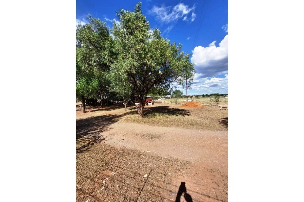 51ha Farm for Sale Just Outside Kimberley - Photo 5