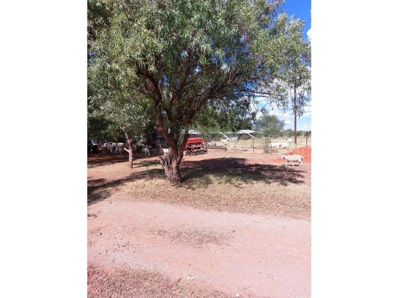 51ha Farm for Sale Just Outside Kimberley - Photo 4