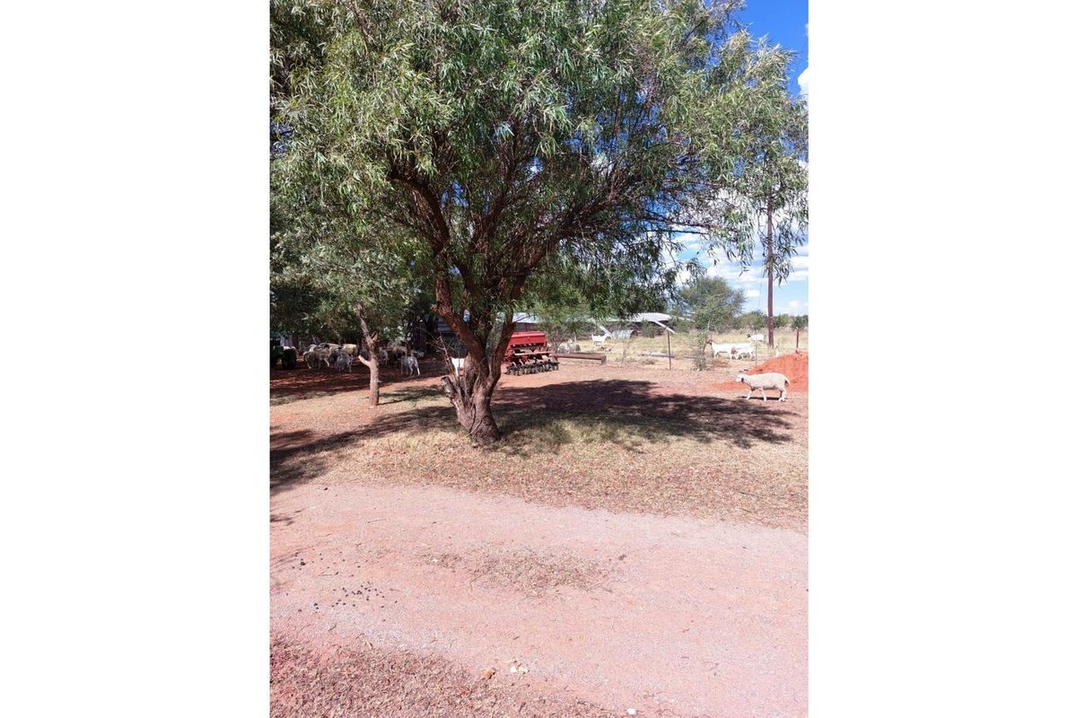51ha Farm for Sale Just Outside Kimberley - Photo 4