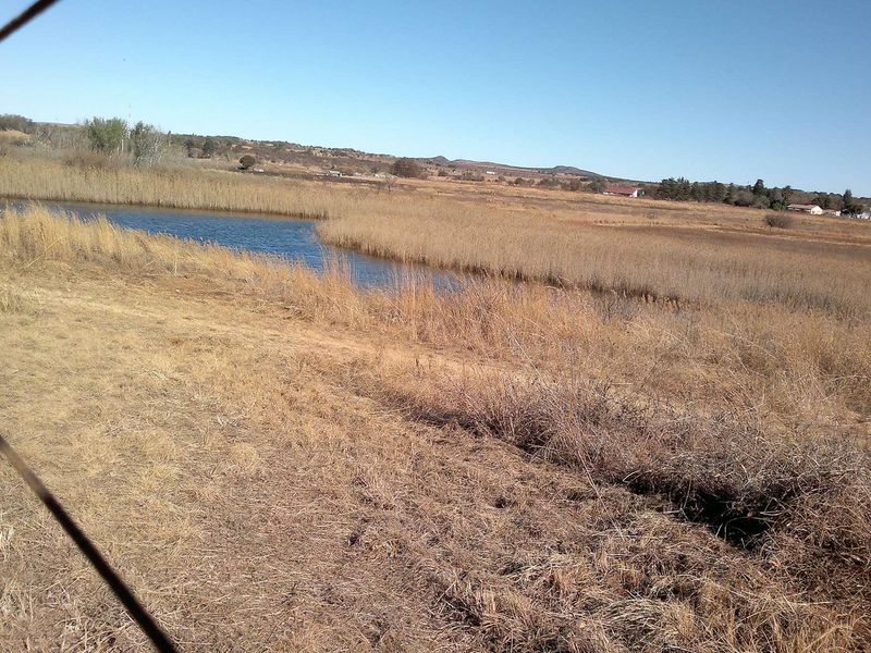 Beautiful farm at Maanhaarrand. . Enjoy a country lifestyle near a lot of towns and cities. - Photo 6