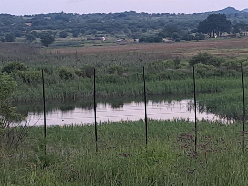 Beautiful farm at Maanhaarrand. . Enjoy a country lifestyle near a lot of towns and cities. - Photo 4