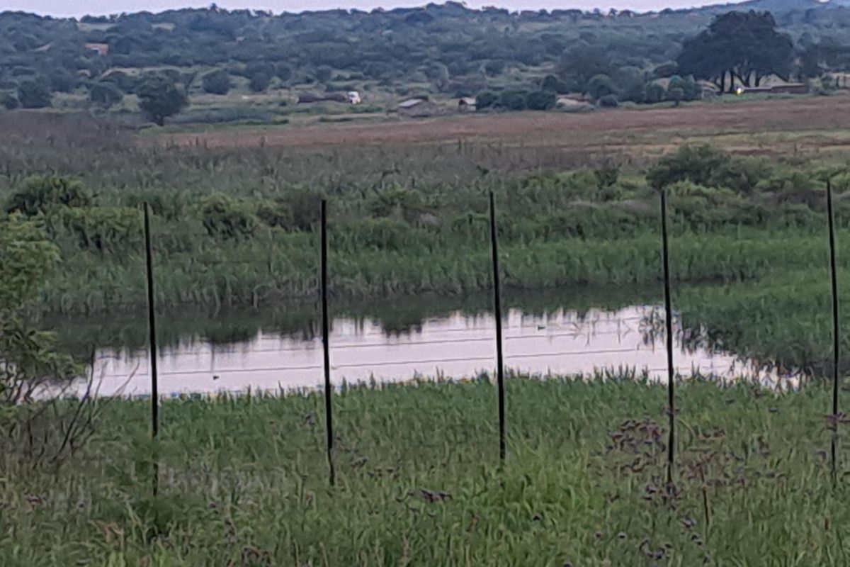 Beautiful farm at Maanhaarrand. . Enjoy a country lifestyle near a lot of towns and cities. - Photo 4