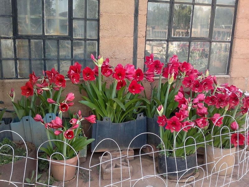 Beautiful farm at Maanhaarrand. . Enjoy a country lifestyle near a lot of towns and cities. - Photo 8