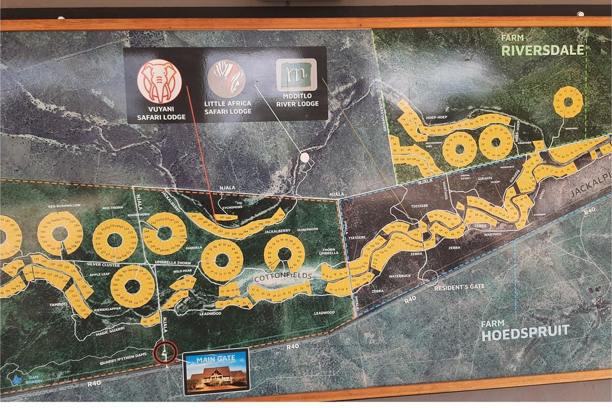 A large stand of >1Ha in Big 4 Moditlo Wildlife Estate - Photo 5