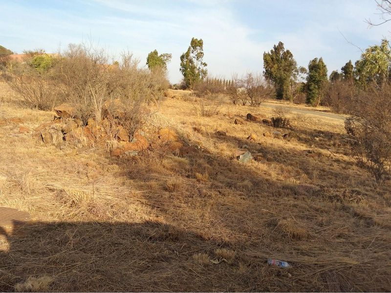 A view of a vacant residential plot featuring natural dry grass, scattered rocks, and mature trees in a quiet neighborhood setting.