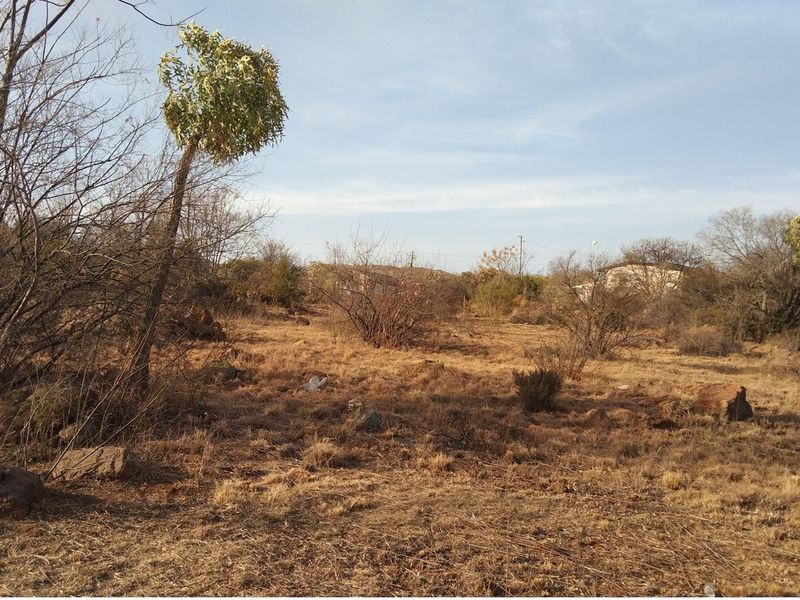 A view of a vacant residential plot featuring natural dry vegetation, scattered rocks, and surrounding trees.