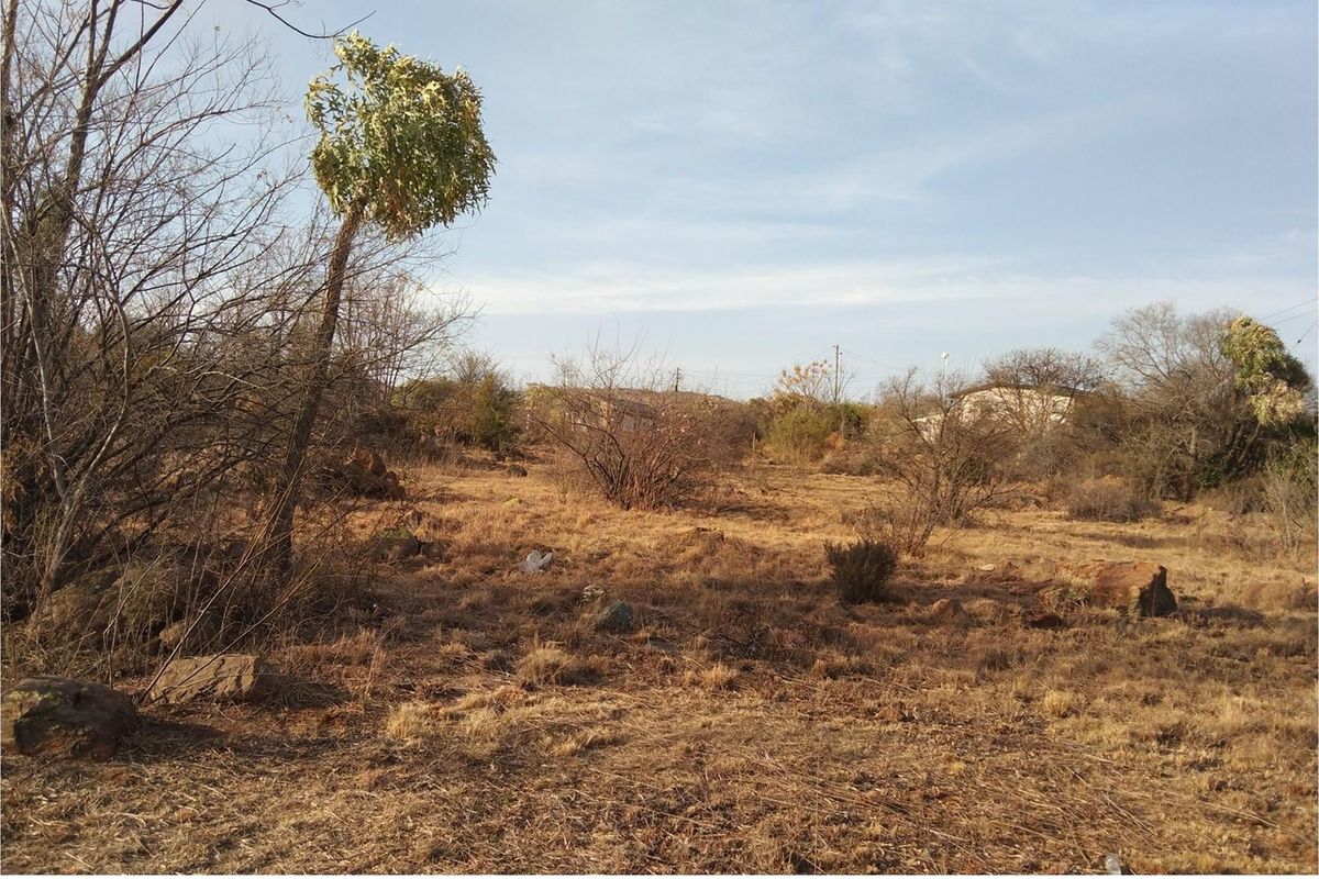 A view of a vacant residential plot featuring natural dry vegetation, scattered rocks, and surrounding trees.