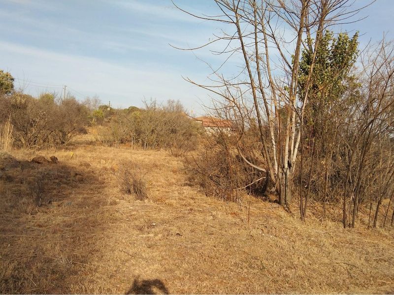A view of the vacant residential land featuring natural vegetation and dry grass, suitable for future development.