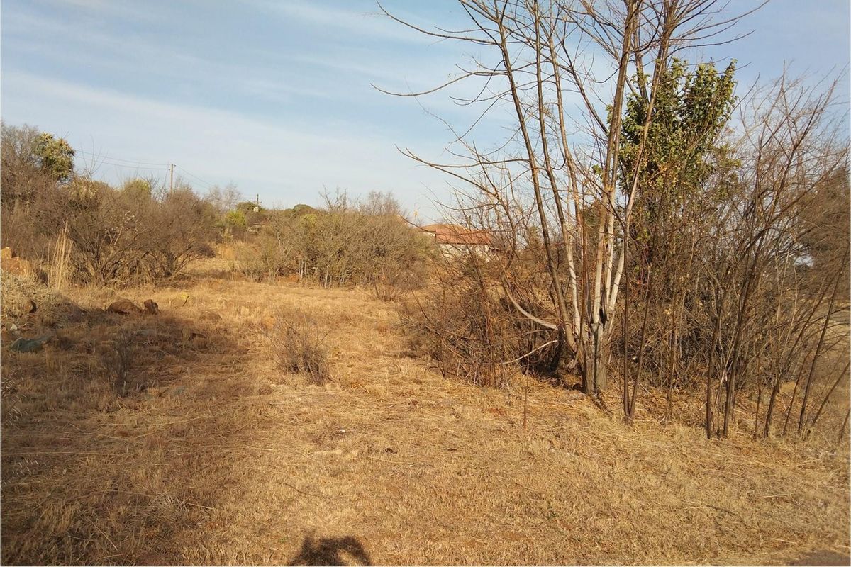 A view of the vacant residential land featuring natural vegetation and dry grass, suitable for future development.