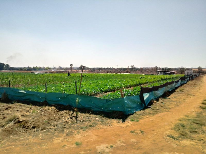 Proposed Light Industrial Development Opportunity in Bapsfontein - Photo 2