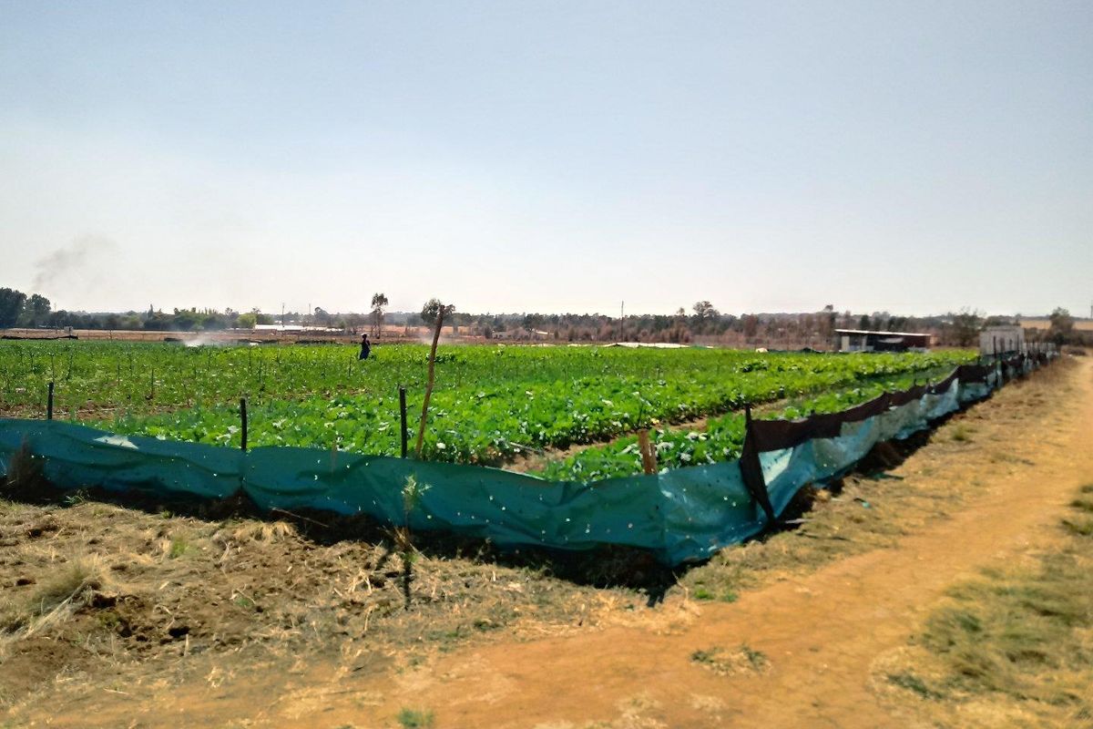 Proposed Light Industrial Development Opportunity in Bapsfontein - Photo 2