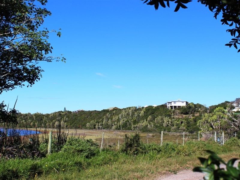 A scenic view of the natural landscape and surrounding vegetation, showcasing the peaceful environment of this vacant residential land.