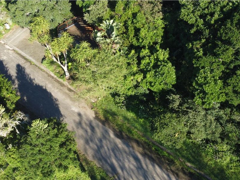 Aerial view of a residential vacant land plot featuring dense natural vegetation, mature trees, and a small wooden deck structure.