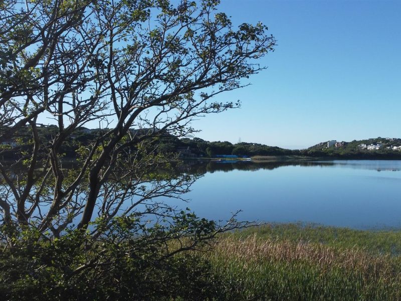 A scenic view of a tranquil lagoon surrounded by natural vegetation and distant residential properties.