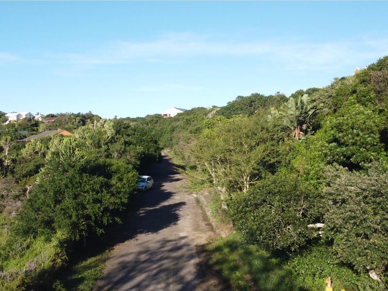 An elevated view of a residential vacant land plot featuring dense natural vegetation and a paved access road.