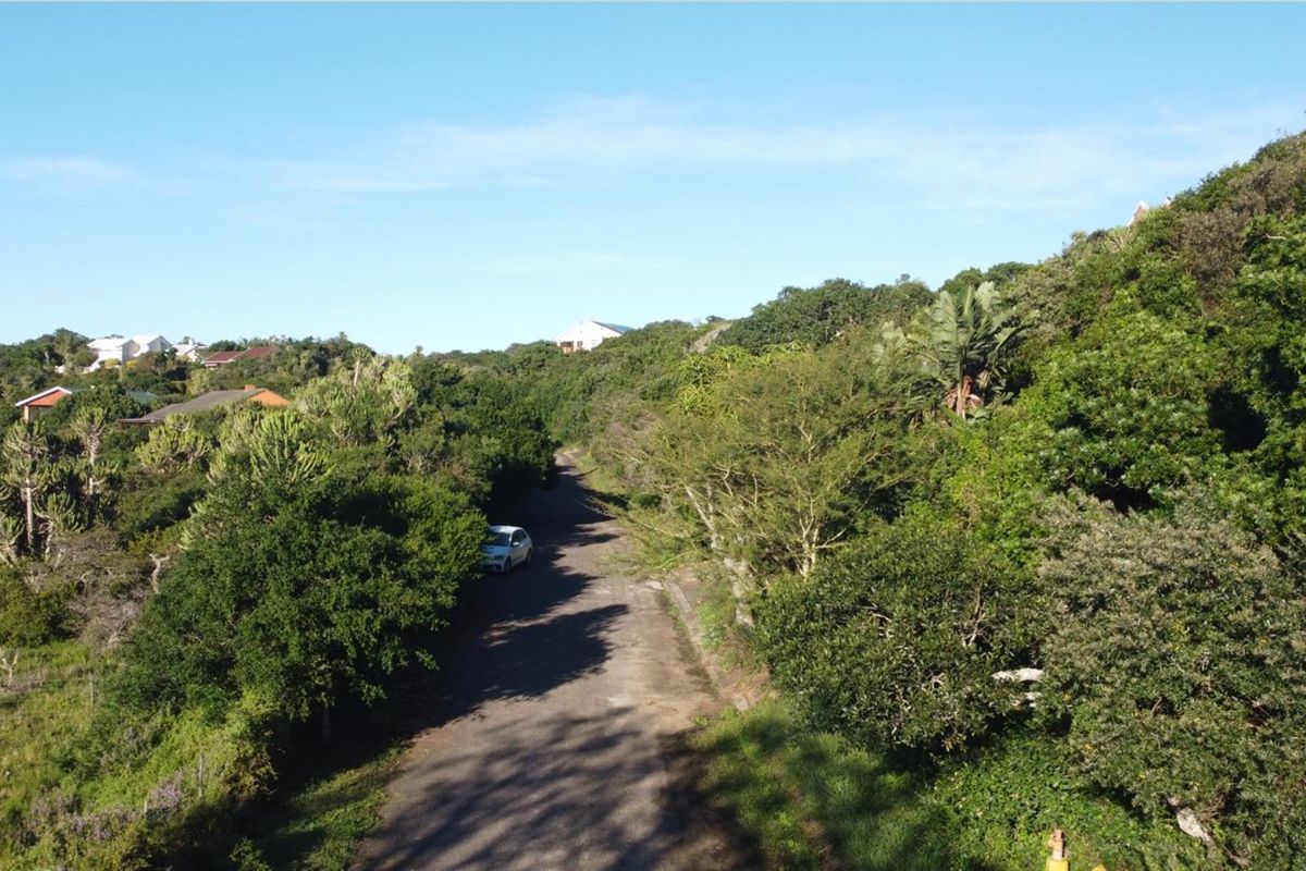 Riverfront Plot on the East Kleinemonde River In The Eastern Cape - Photo 3