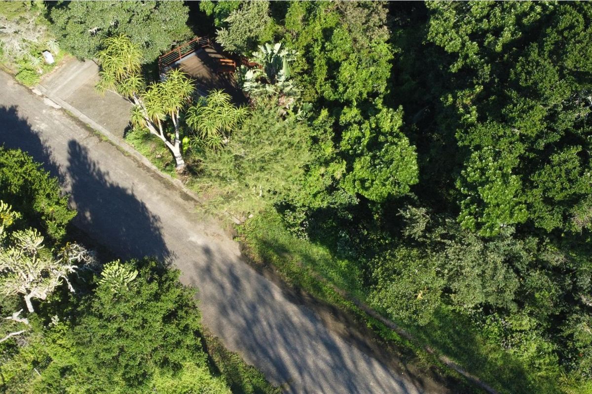 Riverfront Plot on the East Kleinemonde River In The Eastern Cape - Photo 4