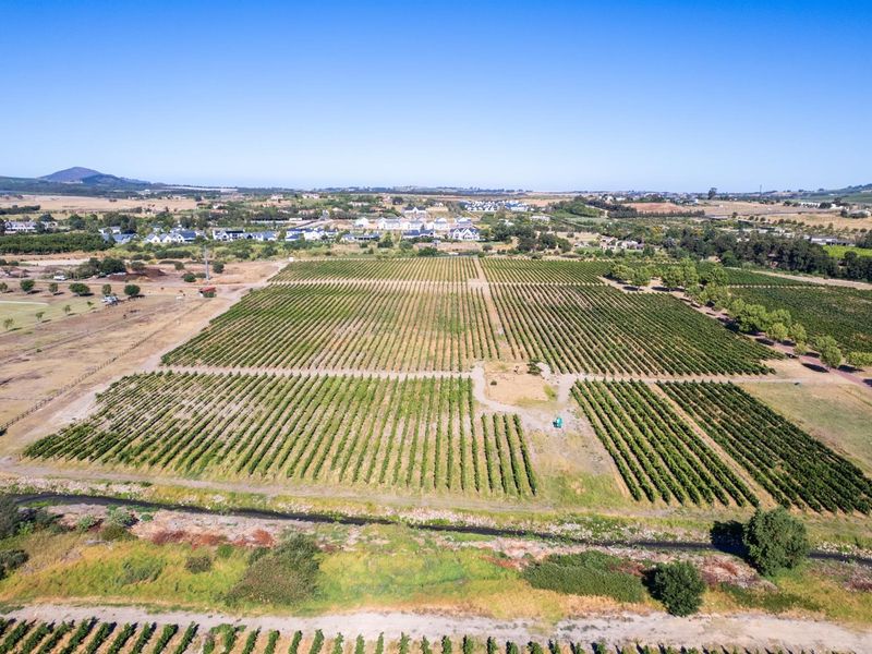 Farm For Sale in Val de Vie Estate, Paarl - Photo 8