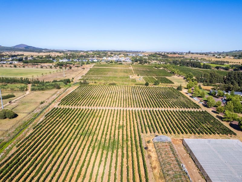 Farm For Sale in Val de Vie Estate, Paarl - Photo 7