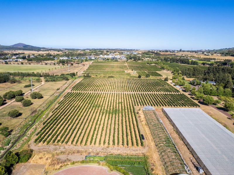 Farm For Sale in Val de Vie Estate, Paarl - Photo 6