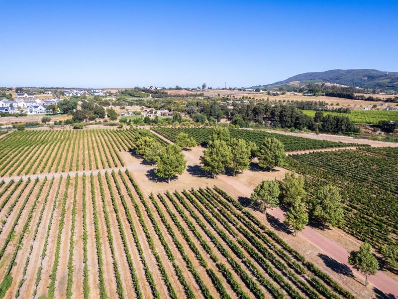 Farm For Sale in Val de Vie Estate, Paarl - Photo 10
