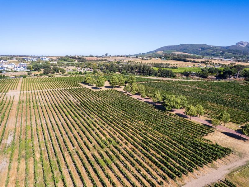 Farm For Sale in Val de Vie Estate, Paarl - Photo 9