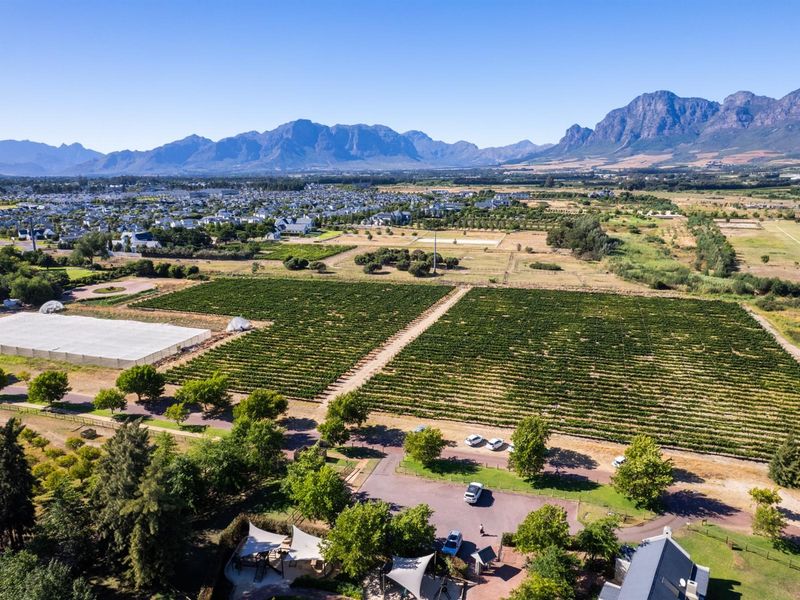 Farm For Sale in Val de Vie Estate, Paarl - Photo 4