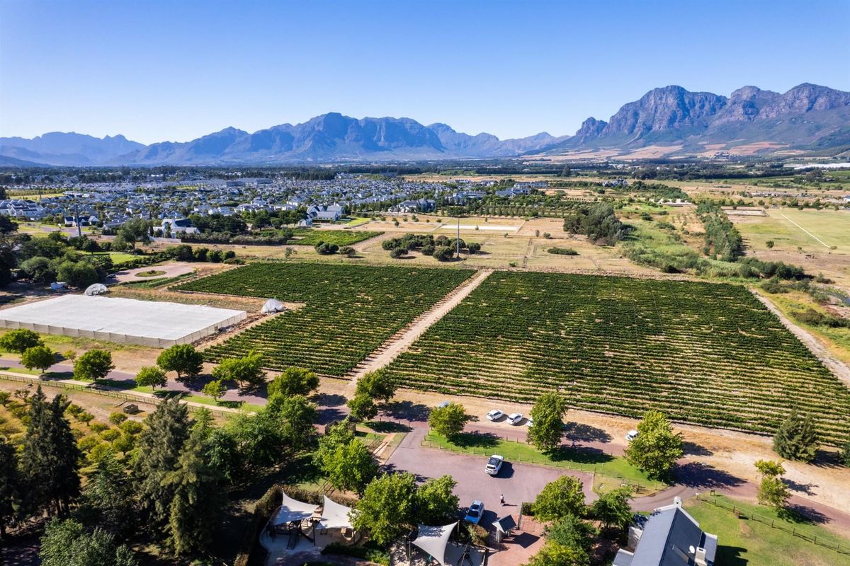 Farm For Sale in Val de Vie Estate, Paarl - Photo 4