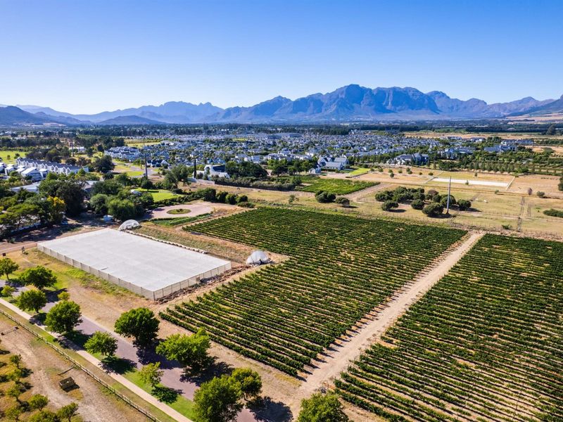 Farm For Sale in Val de Vie Estate, Paarl - Photo 5