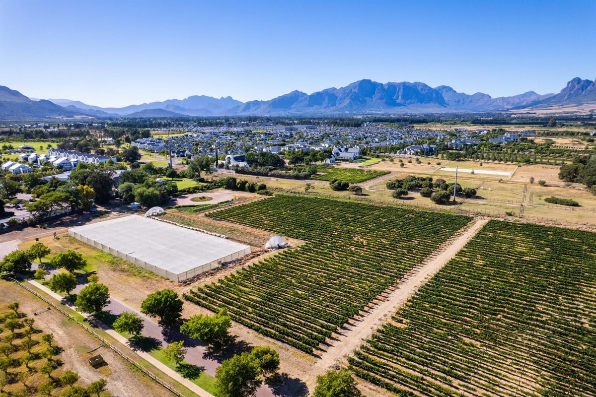 Farm For Sale in Val de Vie Estate, Paarl - Photo 5