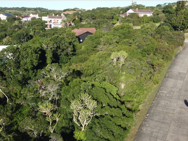 An aerial view of a vacant residential plot densely covered with indigenous vegetation, adjacent to a paved concrete road in a coastal neighborhood.