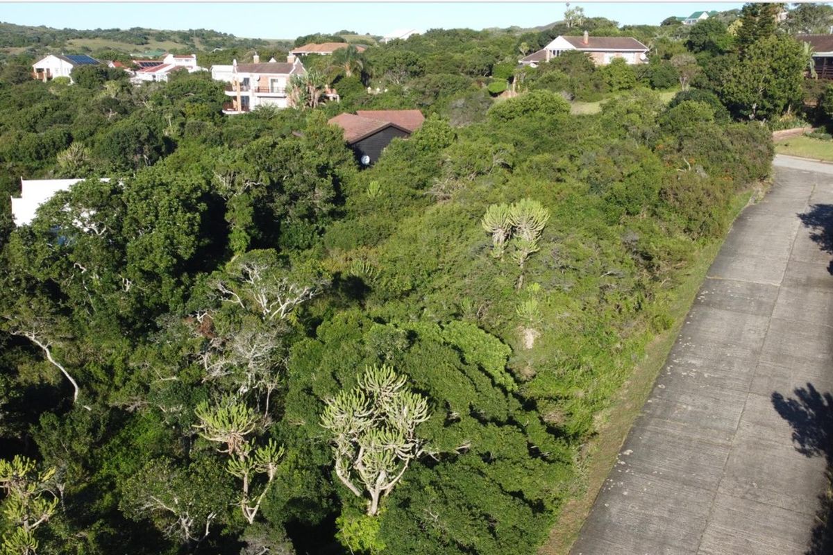 An aerial view of a vacant residential plot densely covered with indigenous vegetation, adjacent to a paved concrete road in a coastal neighborhood.