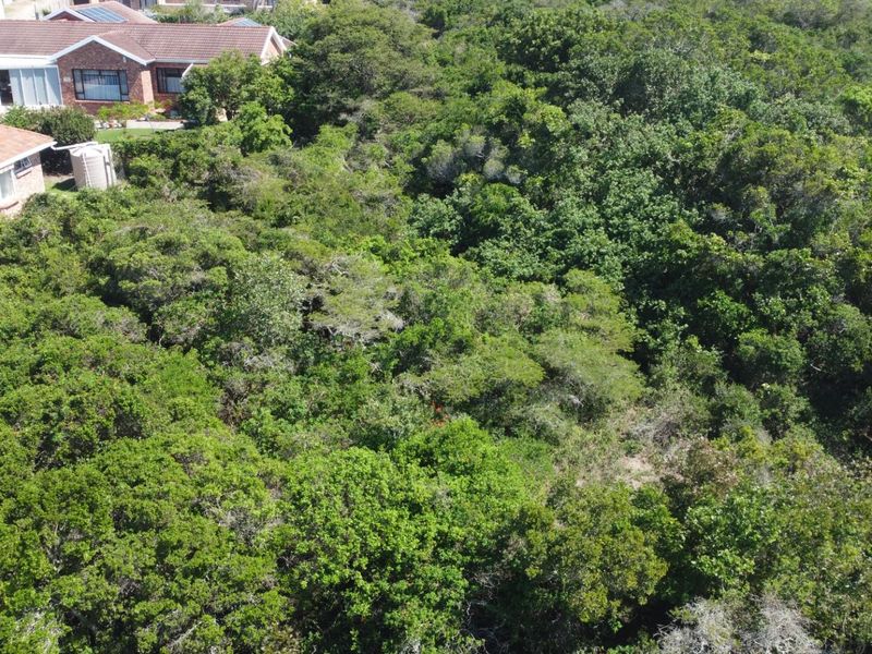 Vacant Land on the Peninsula in Kleinemonde - Photo 5